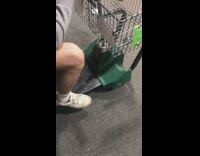 BitchMP - guy in handicap shopping cart prank