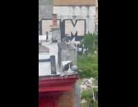 Two pigeons on ledge kiss and mate