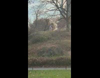 Shirtless guy wearing black wings dances park 