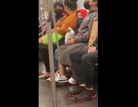 White Parrot Sits on Ladys Lap on Subway