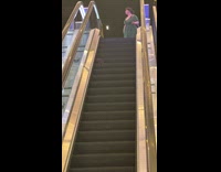 Rat rides up the  escalator mall 