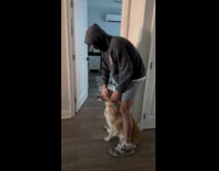 Man says prayer so dog would eat