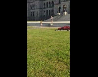 Two girls tiktok dance green dome pt. 2 