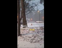 Elderly woman slips while filming snow on yard