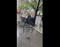 Guy preparing food on cutting board for birds