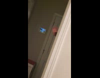 Father hold baby play peek a boo