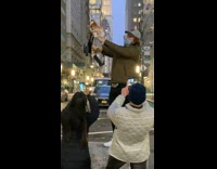 Man hold dog intersection cap hair rock Part 2