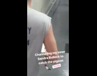 man with blind fold carrying pizza chasing pigeon