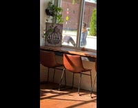 Girl butt twerk peek window coffee shop