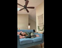 Collab PubityPets - Brown Black Pet dog cries and barks when it saw its owner