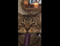 Collab BitchMP - Cat licking purple popsicle