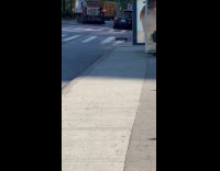 RC monster truck roaming on street 