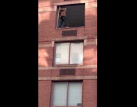 Man fixing window frame without safety harness