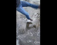 Guy tries to crack ice slips and falls 