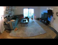 Collab BitchMP - Furbo man in couch scares dog