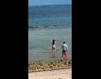 Collab IITW - Woman purple bikini dances on shore