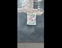 Flock of pigeons near do not feed sign