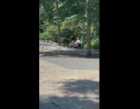 Guy sits on bench with bunch of birds 