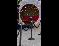 Dog wearing green sweater poses in ornament 