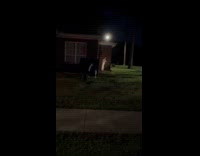 Neighbor has the ring movie decoration 