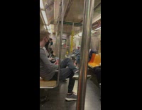 2 parrots sit in train 