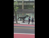 Person in velociraptor outfit walking on the sidewalk 
