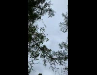 Spider falls off spiderweb girl gets scared 