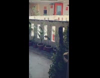 Man gets revenge on kid ding dong ditching him 