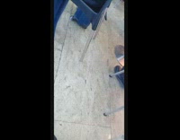 pigeons walking under restaurant tables