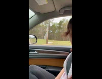 White alpaca put head on car window