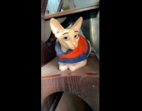 Man tries disney filter on hairless cat