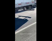 Rat runs across freeway under white truck 