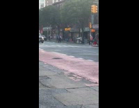 Man with long makeshift pole soliciting money