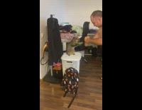 Pet cat plays with man with paws and fists