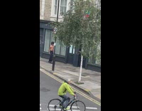 Man shirtless with abs walks back and forth sidewalk