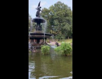 Man picks up coin in water fountain