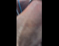 Submitter pets cops leg instead of horse 