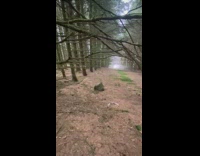 Rock kicked and rolling down hill into fog 