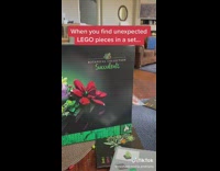 Guy finds guns in lego succulents set