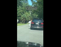 Collab VIBES - Group takes out trash 6 miles away