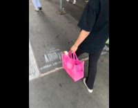 Woman carry duck in pink tote bag