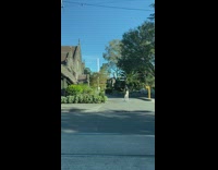 Woman green jacket on shoulders steady pictorial