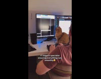 Cat sits in front of computer screen