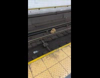 Teddy bear plushy lay on train tracks