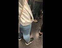 Bird hides in jacket pocket on subway train