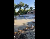 Collab BitchMP - White chicken walks over fresh wet cement 