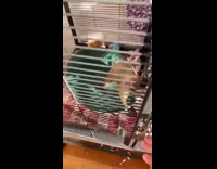 Guy says good morning to prairie dog