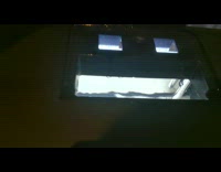 Cricket drowned inside the aquarium of two turtle