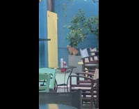 Cat having trouble jumping from ledge