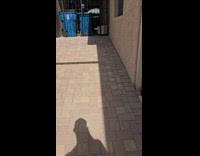 Man shows baby owls on wood ceiling
